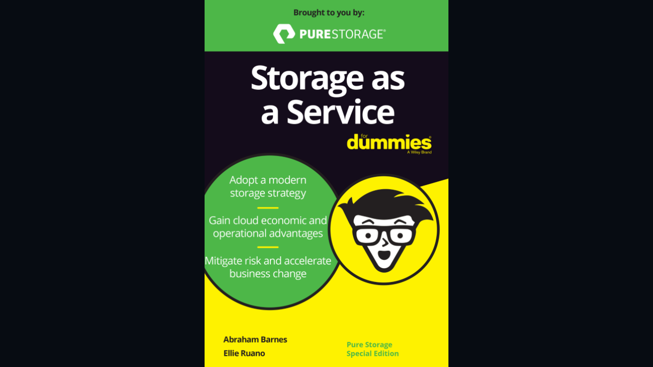 Storage as a Service for Dummies Apexlead Catalysts